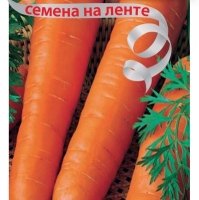 ������� ����������������-13 (�� ����� 8�)