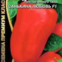 �����-�������-��������������-����-��������-������-F1