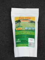 ���� ����