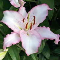 �������������������������������