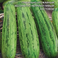 ������� ������ �������