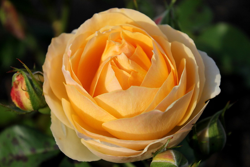 f1_837b1650-276a-4d4b-b747-c210eee3163f f1_837b1650-276a-4d4b-b747-c210eee3163f