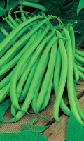 fasol-bona