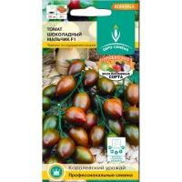 shokoladnyj-malchik-f1-sajt-800x800