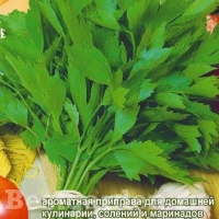 НоменклатураПрисоединенныеФайлы НоменклатураПрисоединенныеФайлы