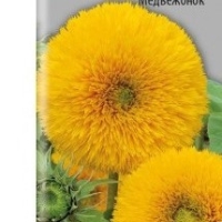 �������������������������������