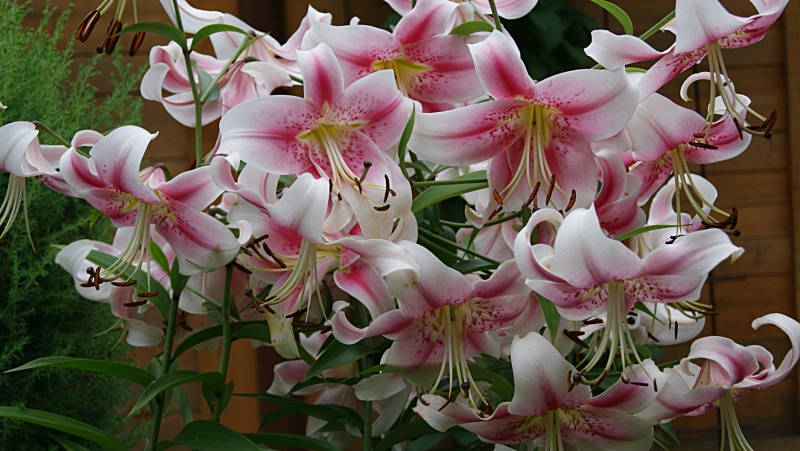 f1_df4d1f4c-a05c-4867-a009-baf8c4e46aab