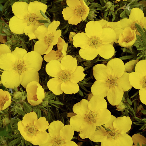 НоменклатураПрисоединенныеФайлы НоменклатураПрисоединенныеФайлы