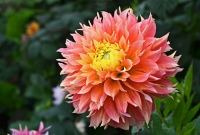 �������� ����� ������