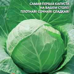 �������-������������-����-������������-F1