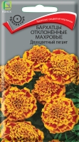 barhatsy_otklon_mahrov_dvuhcvet_gigant