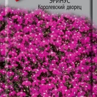 королевский дворец королевский дворец