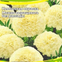 НоменклатураПрисоединенныеФайлы НоменклатураПрисоединенныеФайлы