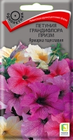 petunia_grandiflora_prizm_yarmarka_tsheslavia petunia_grandiflora_prizm_yarmarka_tsheslavia