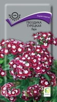 gvozdika_tureckaya_lara gvozdika_tureckaya_lara