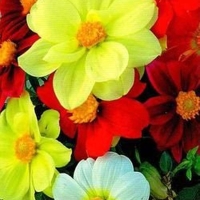 �������������������������������