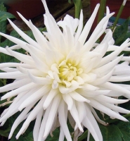 f1_586bc1f1-e310-44d3-acde-a013e8c63974