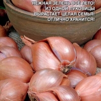 �������������������������������