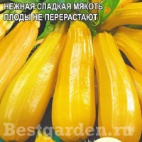 �������������������������������