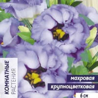 �������������������������������