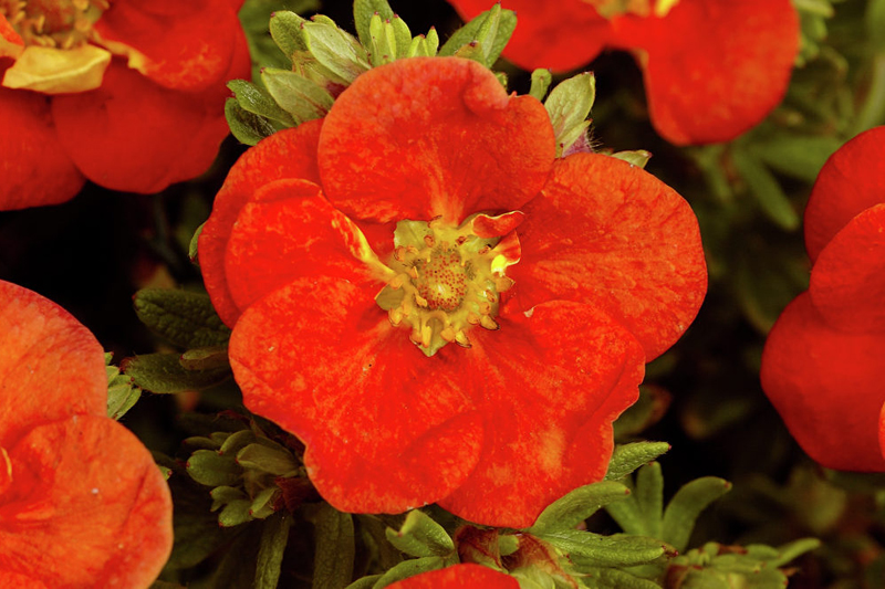 f1_27fa4717-2625-400d-a699-dc67541781a5