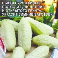 ������ ���������� 0,5 ��.