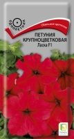 petunia_krupnocvet_laska_f1