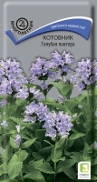 kotovnik_golubaya_pantera