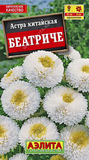 астра беатриче астра беатриче