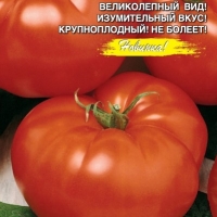 НоменклатураПрисоединенныеФайлы НоменклатураПрисоединенныеФайлы