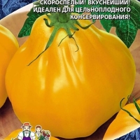 груша желтая груша желтая