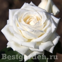 f1_9c2fab14-d94e-4e9a-8e92-998fa2a0db59 f1_9c2fab14-d94e-4e9a-8e92-998fa2a0db59