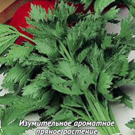 Сельдерей листовой Бодрость Сельдерей листовой Бодрость