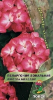 19704