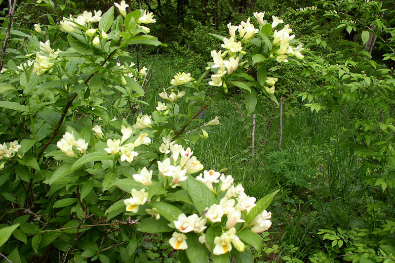 f1_7a6ec8e4-2412-40ff-9492-978e5f0699ad