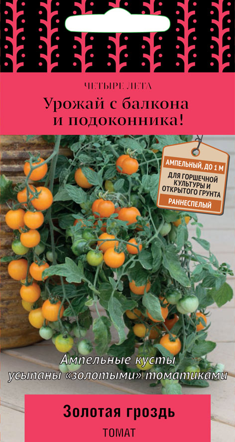 tomat_zolotaya_grozd tomat_zolotaya_grozd