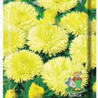 �������������������������������