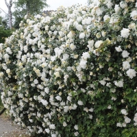 �������������������������������