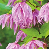 6701474869 6701474869