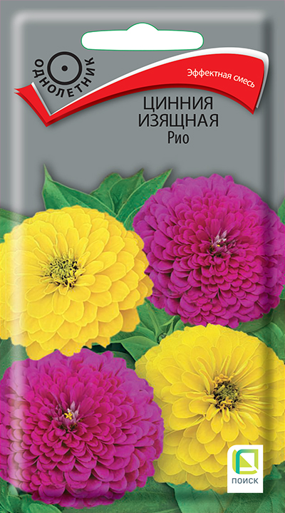 cinnia_izyashnaya_rio
