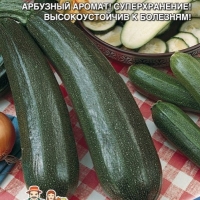 Кабачок - цуккини Уголек Кабачок - цуккини Уголек