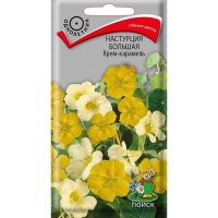 Настурция большая Крем-карамель Настурция большая Крем-карамель