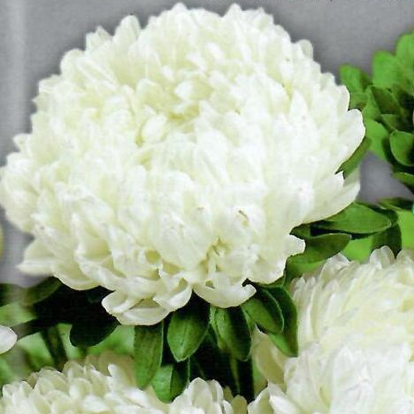 3920878de3703cb4105bd2d60a755360