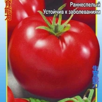 Томат Китайский Болезнеустойчивый 0,1 гр. Томат Китайский Болезнеустойчивый 0,1 гр.