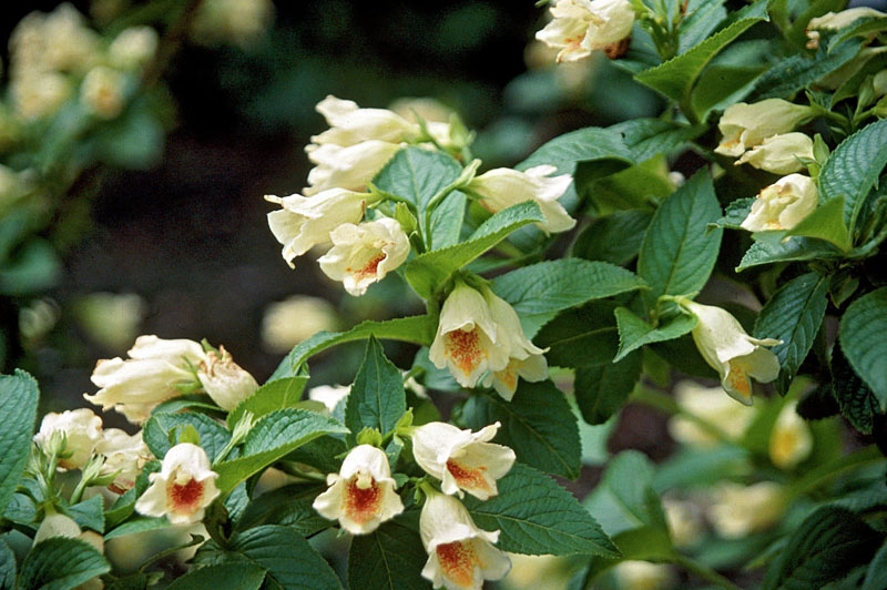 f1_9e31849a-c482-4aed-894e-70f0b43126e7