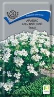 arabis_alpiysky_bely arabis_alpiysky_bely