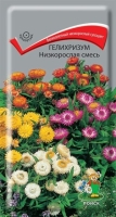 19904