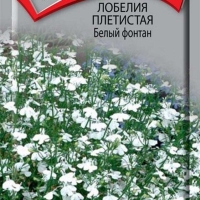 Лобелия плетистая Белый фонтан Лобелия плетистая Белый фонтан