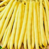 ������ �������� ������