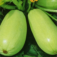 d7680257-a72b-11e2-a11b-001e8cc1c8cb_80fc96e2-57fb-11e3-8539-001e8cc1c8cb